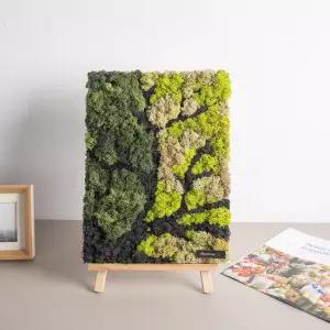 스칸디아모스 공기정화식물 액자 이젤 숲사이 set 47cm 인테리어 천연 이끼 장식