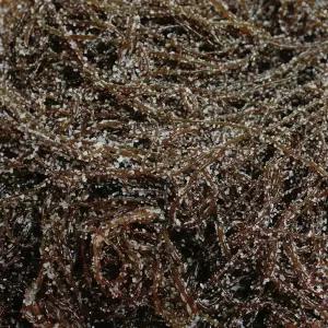 울돌목 완도산 염장 꼬시래기 4kg 한박스 해조류