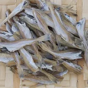 대구앵치 500g/반건조 노가리 앵치노가리 한입