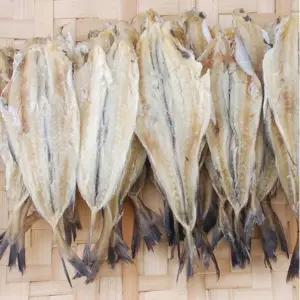 반건조 손질노가리 소 1kg / 뼈없는 순살 노가리 두절 조미 명태노가리