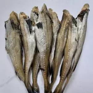 반건조 노가리 중 800g