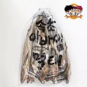 속초 아바이 먹태 10마리