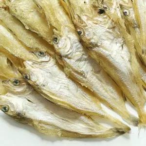 빅건어물 반건조 대구노가리 중 400g