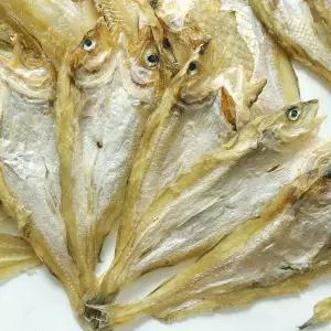 빅건어물 반건조 대구노가리 대 400g