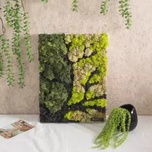 스칸디아모스 공기정화식물 액자 숲사이 set 40cm 인테리어 천연 이끼 벽장식 소품