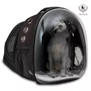 딩동펫 강아지 고양이 이동가방 백팩 투명 우주선 확장형 MNS