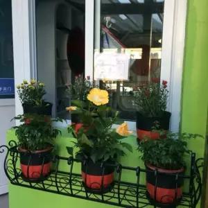 창문 화분 걸이 진열대 문걸이 다용도 다육이 브라켓 베란다