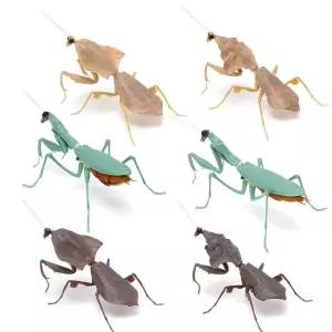 일본 사마귀 피규어 생물도감 왕 항라 사마귀목 실물 낙엽 곤충 PVC 사실표