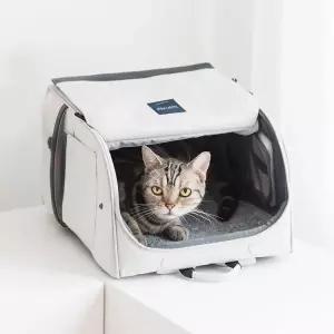 프로젝트21 고양이 강아지 이동 가방 하우스 눕눕백 이동장 레귤러 MNA