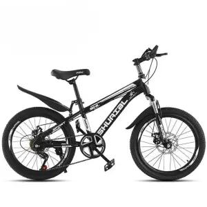 접이식 자전거 입문용 청소년 검정 학생 미니벨로