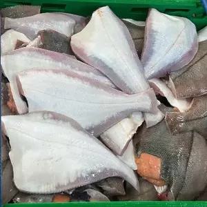 동해 손질 생물 참 가자미 1.1kg 8-12미 중소 알가자미 생물 가자미 필렛 알배기가자미 동해가자미