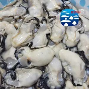 [대size] 석화부대 통영굴 생굴 깐굴 대굴, 5kg, 1개