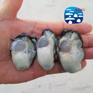 [중size] 석화부대 통영굴 생굴 깐굴 중굴, 5kg, 1개