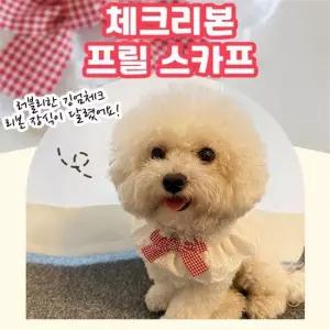 강아지케이프 반려동물 강아지 6컬러 체크리본 프릴스카프 타이