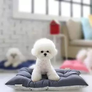 [반려] 강아지 방석 댕댕이 쿠션 펫쿠션 매트 베드 그레이M