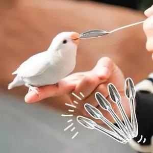 앵무새 이유식 숟가락 5개입