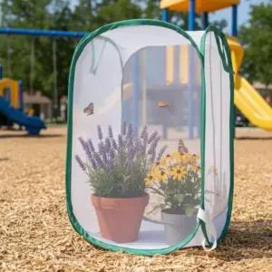 나비 곤충 채집 키우기 관찰망 중 채집통 채집망