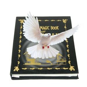 마술사 비둘기 마법 소피루비 서재 킹스 마법의 용품 책에서 파티 후플푸프 일루션 여자아이