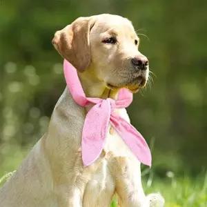 강아지쿨스카프 강아지 애견 쿨스카프 여름 아이스 쿨링 스카프