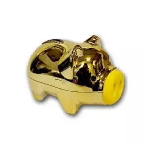 돼지 저금통 골드 동전 지폐 비상금 용돈 보관 돼지저금통