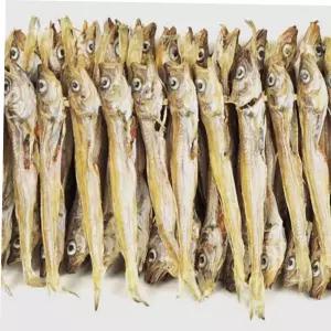 노가리 (햇) 줄노가리 100마리 말린/건조