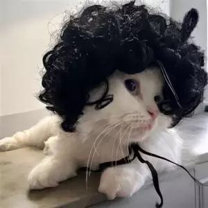 강아지머리띠 뽀글머리 가발 마이콜 강아지