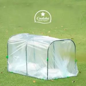 비닐하우스 미니 온실 가정용 식물 재배 하우스