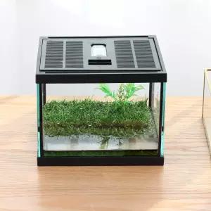 작은 유리 개구리 테라리움 키트 7.8x7.8x5.9인치 올챙이 양서류 곤충 사육장 사마귀 서식지용 녹색 인조