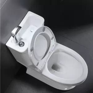 양변기 일체형 세면대 좌변기 투피스 공간 위생도기