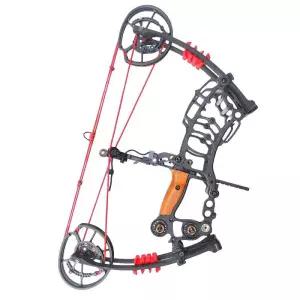 컴파운드보우 양궁 스포츠 양궁활 화살 사격 컴파운드 야외