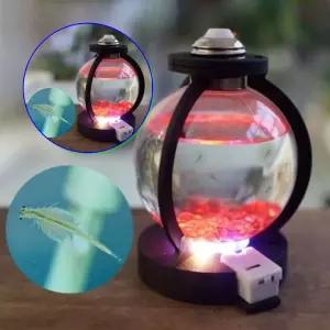 쌍문상회 씨몽키 수족관 만들기