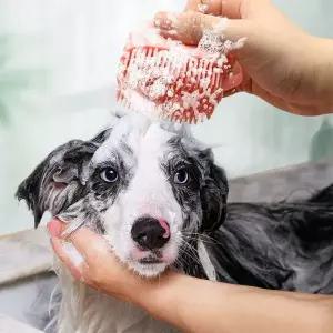 펫샵샤워브러시 자극적은 목욕솔 샴푸넣는 마사지 애완동물샤워솔