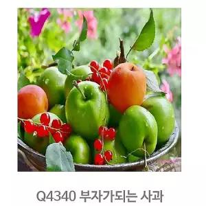 명화그리기 그림 피포 페인팅 세트 사과 유화 액자 캔버스 색칠 아크릴화 풍경화 초보 도안 따라 쉬운 하기