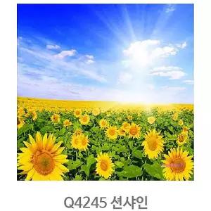 명화그리기 유화 그림 피포 세트 해바라기 페인팅 diy 초보 액자 색칠 아크릴화 하기 따라 쉬운 취미nop327