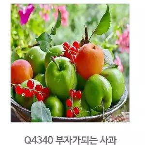 명화그리기 그림 페인팅 액자 유화 사과 세트 피포 아크릴화 풍경화 초보 색칠 캔버스 하기 취미 도안 따라