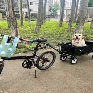 바이크카고 트레일러 자전거 연결장치 야외 캠핑 사이클 화물