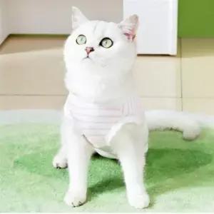 강아지옷올인원 스트라이프 고양이 중성화복 반려견옷 애견 강아지 강아지옷