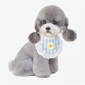 평상복 TBZ OH 라워도트 반려동물 스카프