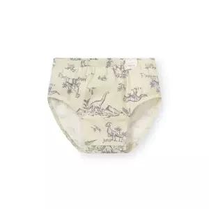 [NS홈쇼핑][오르시떼] 남아동 G209 디노라인그린 브리프[35762532]