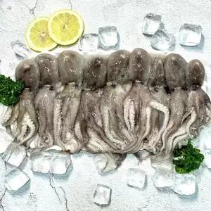 싱싱한 국내산 활쭈꾸미 1kg