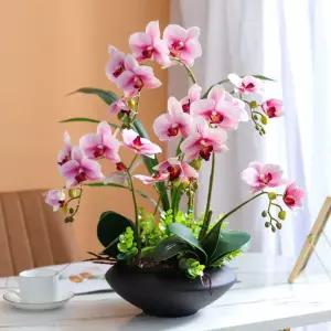 행운 호접란 조화화분 사진참조 서양란 키우기 사무실 인테리어 탁상용 카페 취임 꽃화분 대형