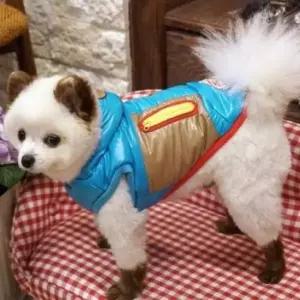 [반려] 패리스독 강이지 고양이 아이두패딩 블루