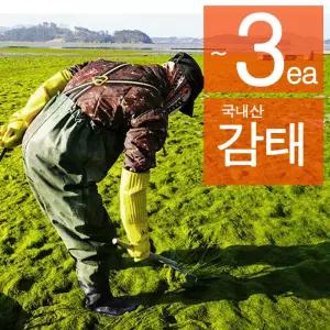 (8봉) 국내산 서산 구운 감태김 100% 240g 8봉 64매