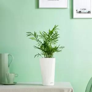 [RIZPICK]플라스틱 삼각화분 중형 15x26cm 식물화분 다육식물용 인테리어화분