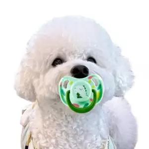 포뇨4  강아지 애견 심신안정 치발기 장난감 인생샷 쪽쪽이 공갈젖꼭지 선글라스 강아