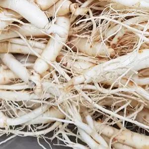 금산 울몸애 세척 원수삼 600g (삼계탕용 25~35뿌리) 가정용