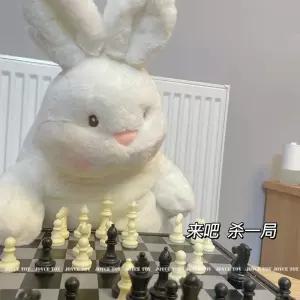 대왕 동물 인형 성인용 귀여운 선물 80cm 베게 토끼 바디필로우