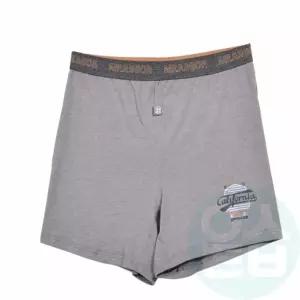 위블리 레이온 주니어 트렁크-3매입 남아드로즈 초등남아속옷 주니어드로즈