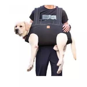 대형견 이동가방 노령견 보조 가방 강아지 캐리어 이동장