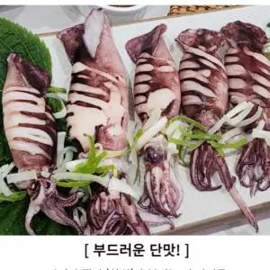 소분 포장 냉동 총알 한치 2kg